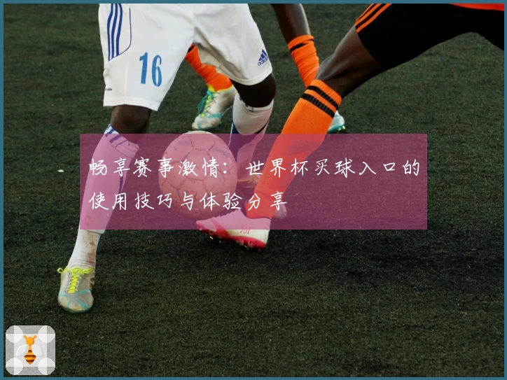 畅享赛事激情：世界杯买球入口的使用技巧与体验分享