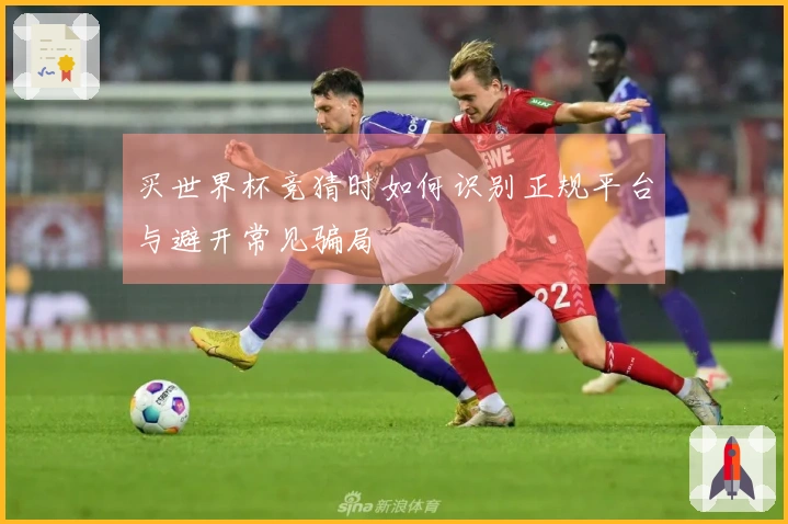 买世界杯竞猜时如何识别正规平台与避开常见骗局