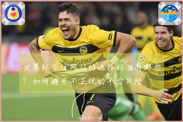 世界杯下注网站的选择标准有哪些?如何避开不正规的平台风险