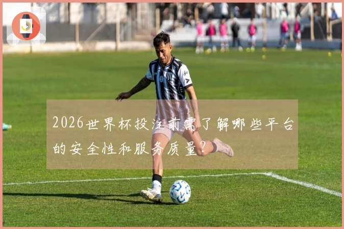 2026世界杯投注前需了解哪些平台的安全性和服务质量？