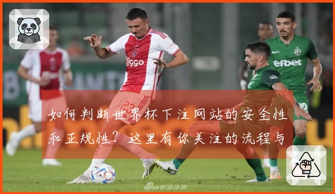 如何判断世界杯下注网站的安全性和正规性？这里有你关注的流程与要点