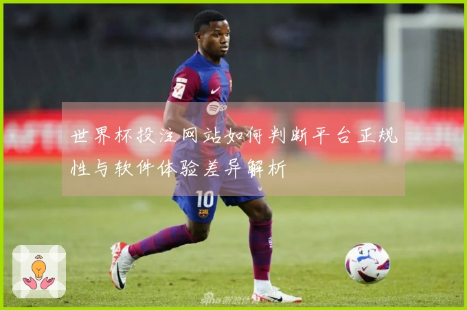 世界杯投注网站如何判断平台正规性与软件体验差异解析