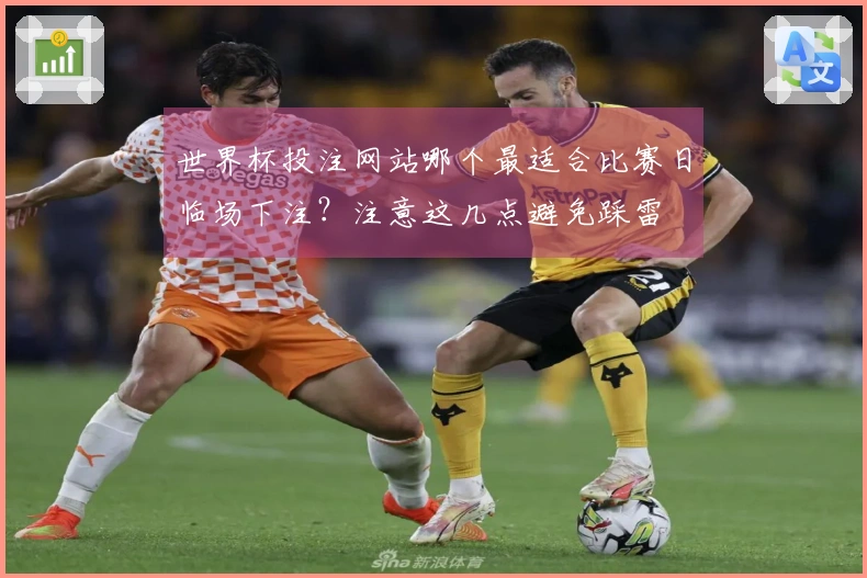 世界杯投注网站哪个最适合比赛日临场下注？注意这几点避免踩雷