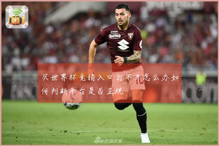 买世界杯竞猜入口打不开怎么办如何判断平台是否正规