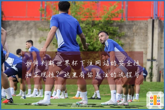 如何判断世界杯下注网站的安全性和正规性？这里有你关注的流程与要点