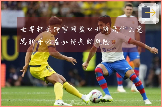 世界杯竞猜官网盘口升降是什么意思新手必看如何判断风险