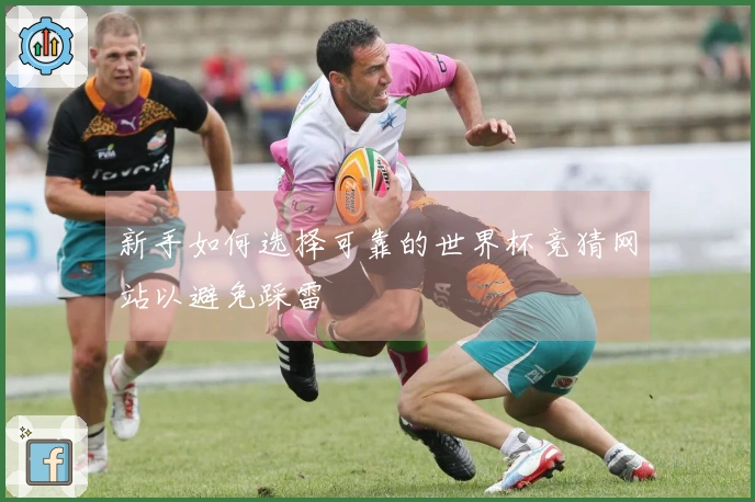 新手如何选择可靠的世界杯竞猜网站以避免踩雷