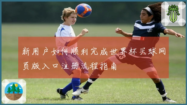 新用户如何顺利完成世界杯买球网页版入口注册流程指南