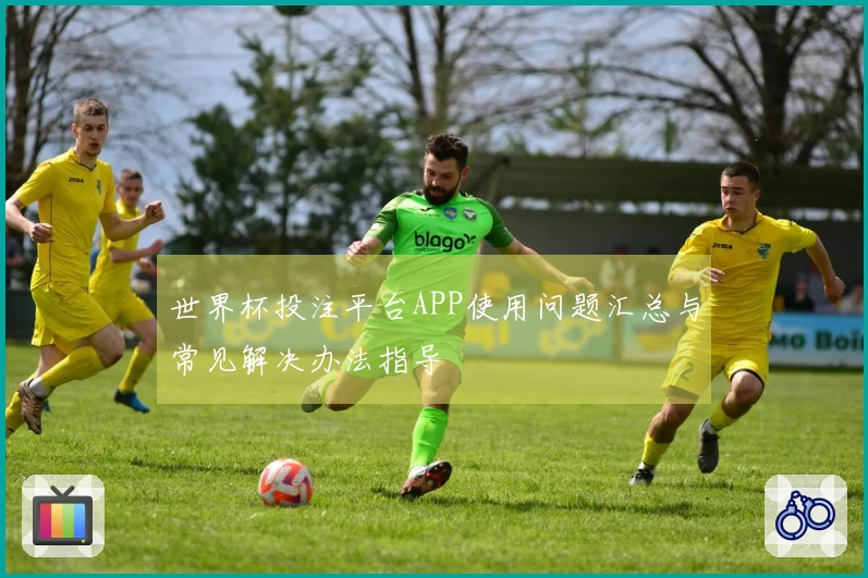 世界杯投注平台APP使用问题汇总与常见解决办法指导