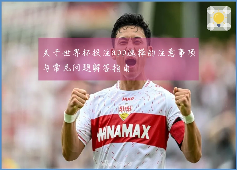 关于世界杯投注app选择的注意事项与常见问题解答指南