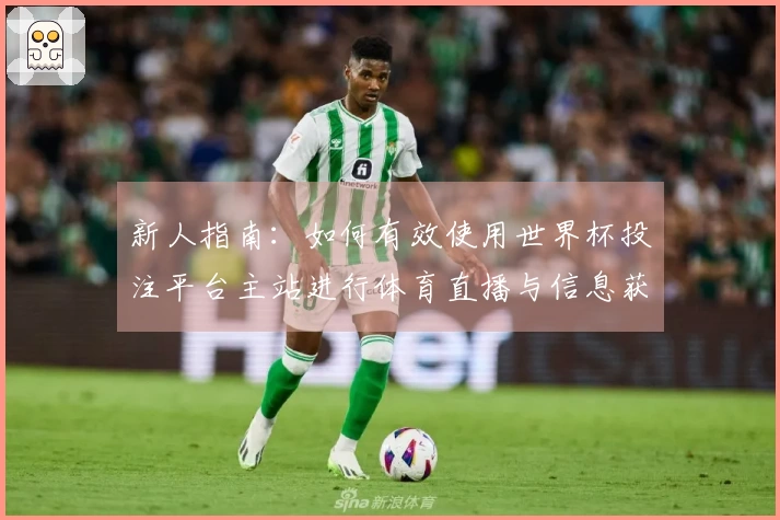 新人指南:如何有效使用世界杯投注平台主站进行体育直播与信息获取