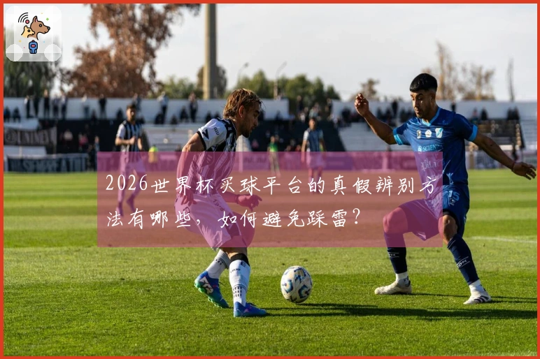 2026世界杯买球平台的真假辨别方法有哪些，如何避免踩雷？
