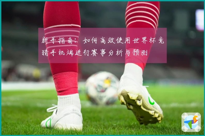 新手指南：如何高效使用世界杯竞猜手机端进行赛事分析与预测